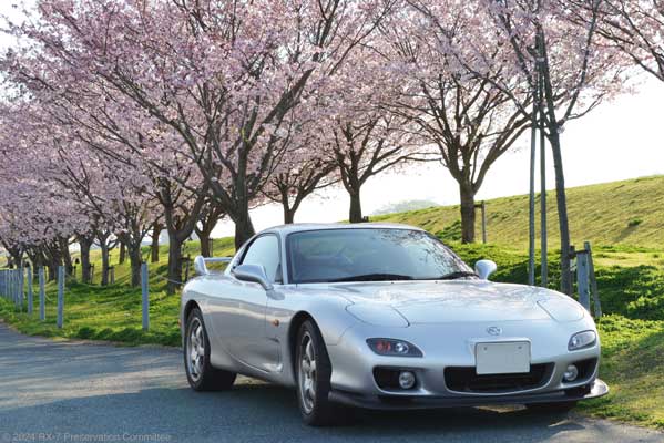 桜並木とRX-7(FD3S)の写真