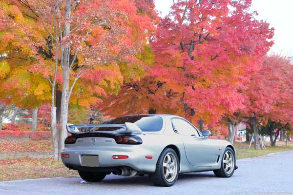 秋らしい雰囲気のRX-7(FD3S)の写真