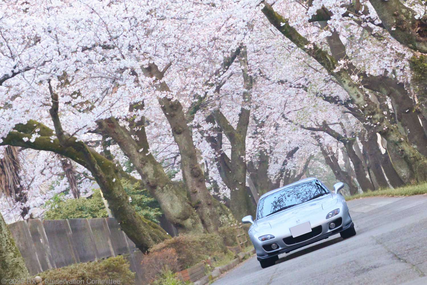 RX-7(FD3S)の写真